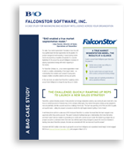 Falconstor Case Study